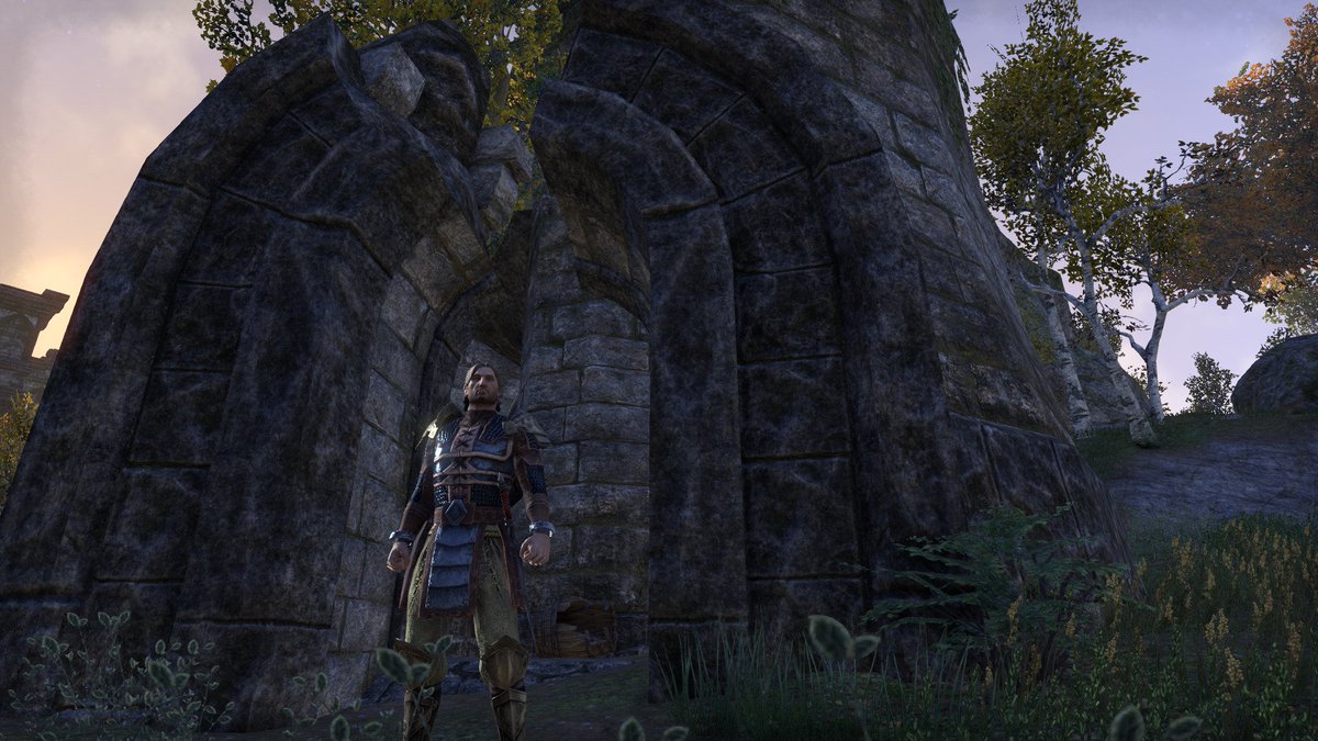Casual_Ranger's tweet photo. Grakus Pilate Imperial Mercenary emerges from the Ilessan Tower victorious. #NoClassSkills #NoCampionPoints #NoAddons #Eso #TESO #MMORPG https://t.co/Ep1gVCQYwT