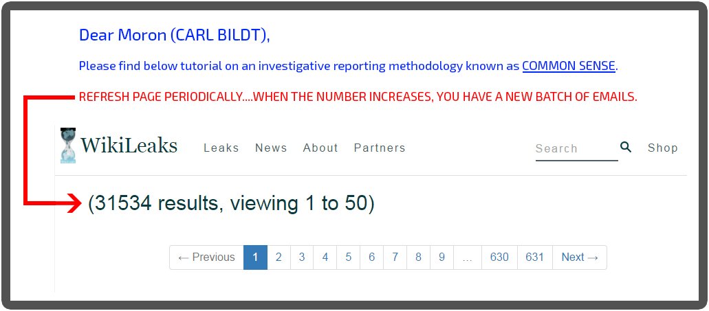 vectorless's tweet image. @wikileaks A little common sense would go a long way in preventing more embarrassment, don't you think Carl? #Uneducated