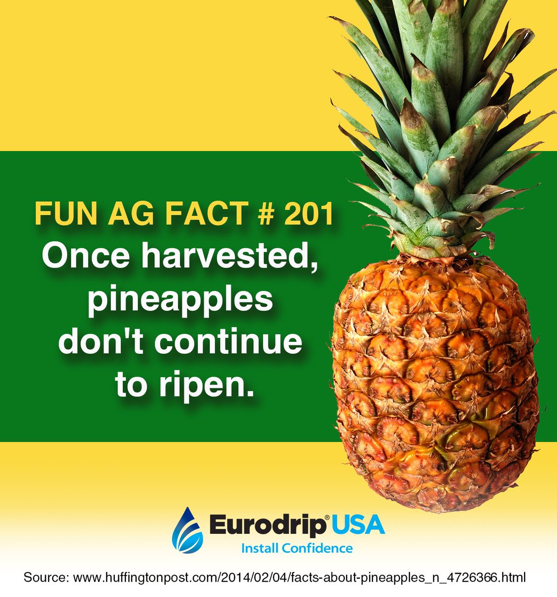 EurodripUSA's tweet photo. It is as sweet as it is going to get. #FunAgFact https://t.co/1gGl9MdWmy