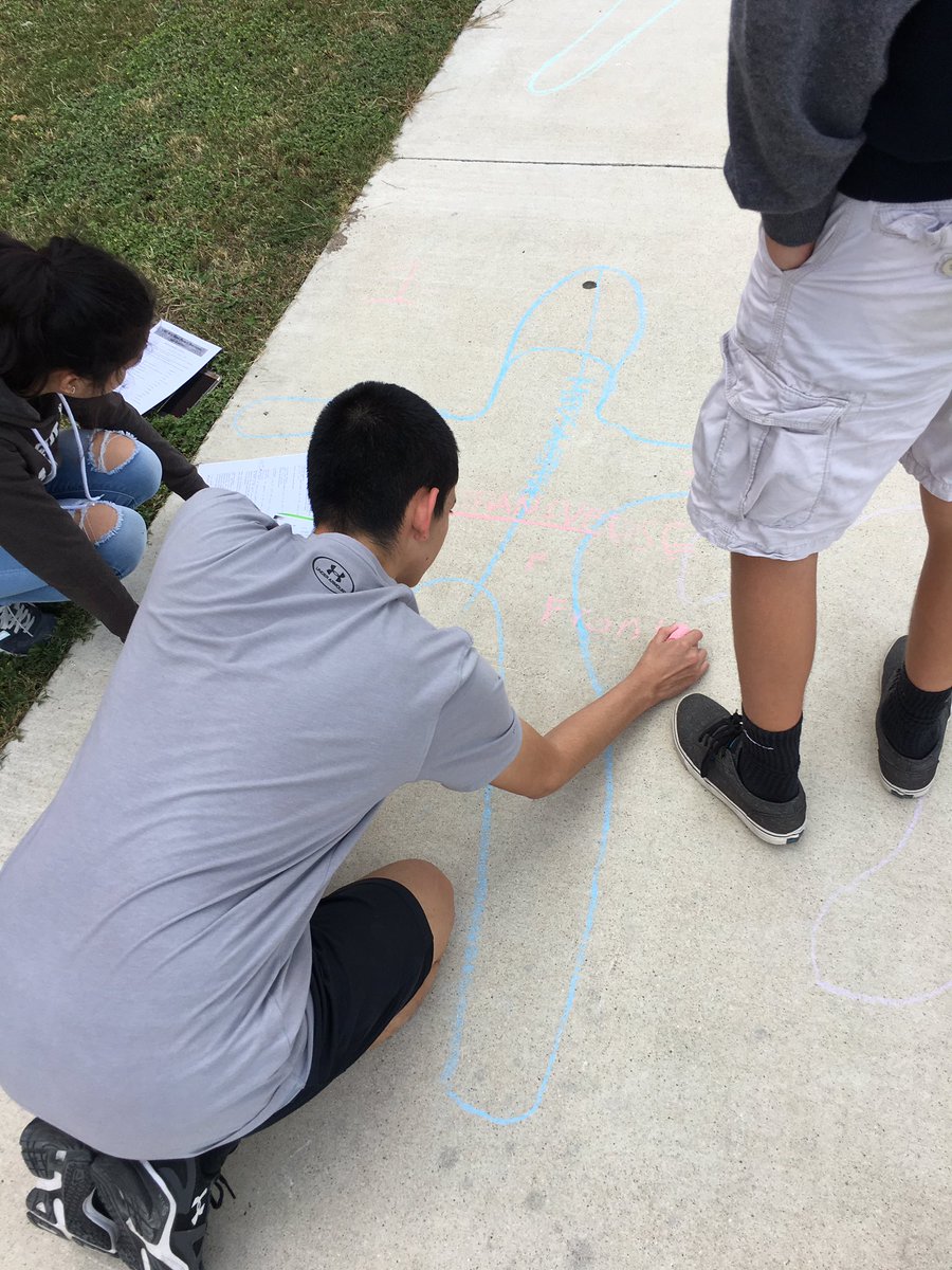 canyonhscougars's tweet photo. Students drawing the planes of the body! #teamcanyon #principlesofhealthscience https://t.co/d5owA0TgnC