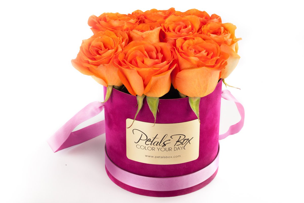 Petals Box tweet media