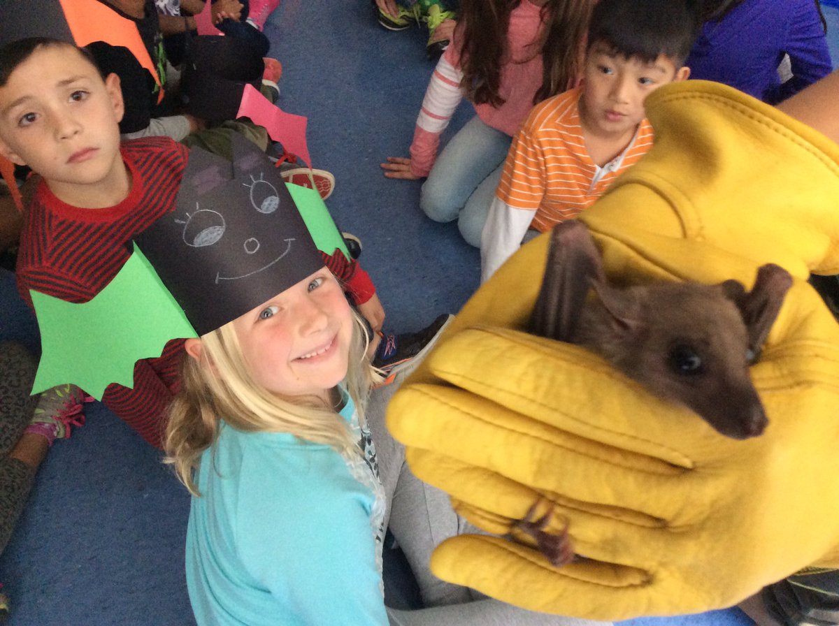 AnnieMeinberg's tweet photo. 2nd Graders gone BATTY! Don't we look FANG-TASTIC? 🌙@WassWolves https://t.co/SAR4NetEeO