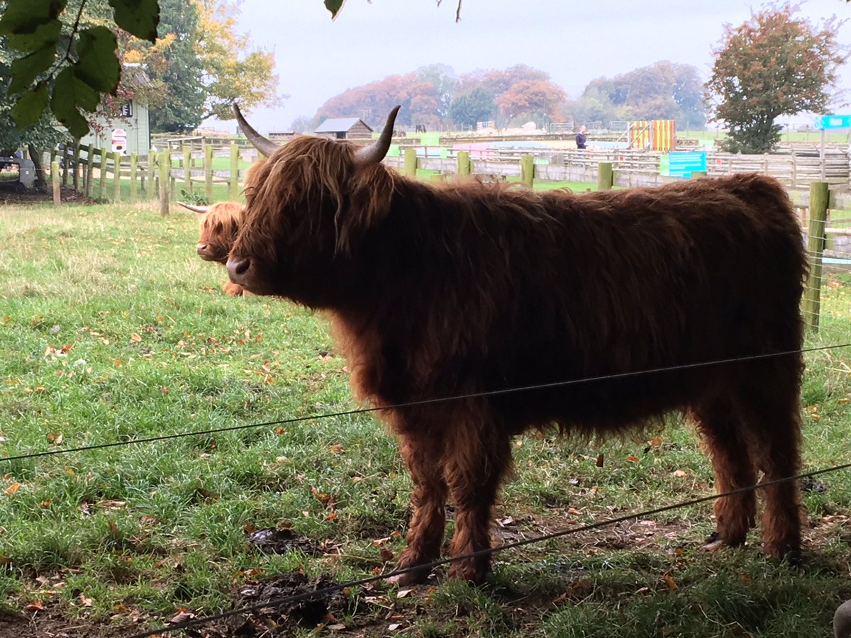 Cotswold Farm Park (CotswoldFarmPrk) Twitter
