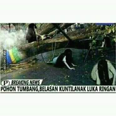 adentdedi's tweet photo. Sekedar info @besoKKawin https://t.co/reBKEfpAS9
