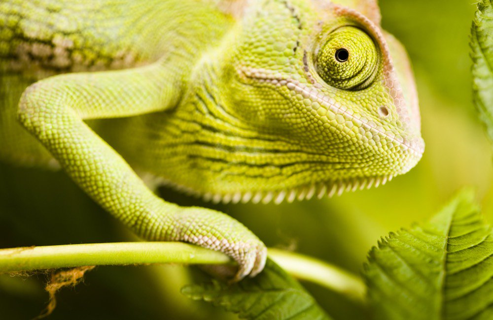 GeraldCraft's tweet image. Combining Content Marketing with Native Advertising: ow.ly/yPjC304Yshb. #contentmarketing #nativeadvertising