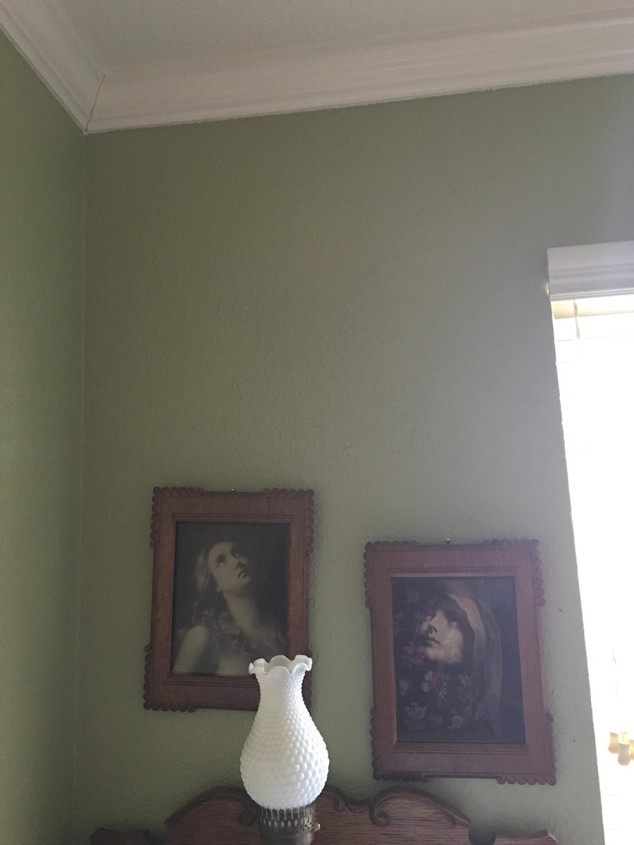 AlyConnerBrown's tweet photo. This. At my mom's house. Tell me they aren't staring at a spider on the ceiling. #youkillit #noyoukillit https://t.co/D9M2csMSN2