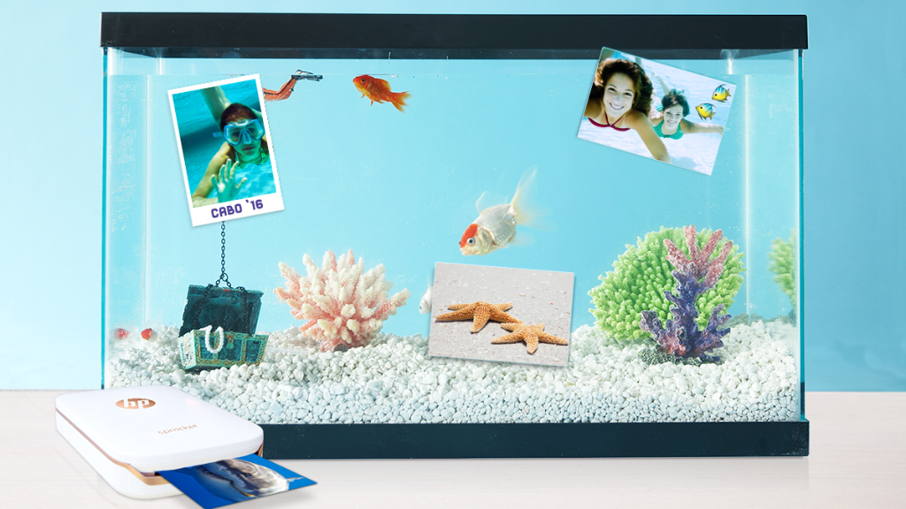 HP's tweet photo. Sea what we did? 🐠🐠 Turn snapshots into printable 2x3 stickers with our new printer: https://t.co/uGrE2SmSbH https://t.co/0ZNVUo2FRS