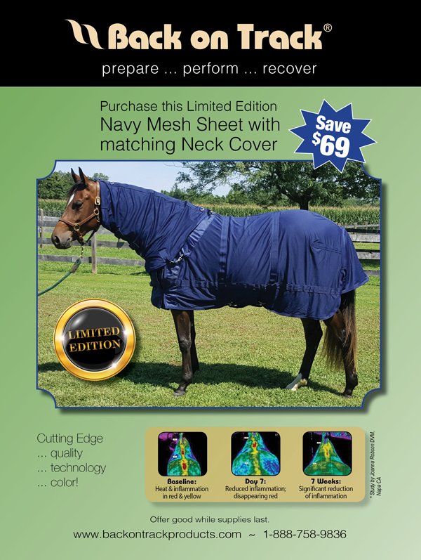 Save on the Limited Edition Mesh Sheet from <a href="/BackOnTrackProd/">Back on Track USA</a> #horses #horseproducts #save conta.cc/2fccBjK
