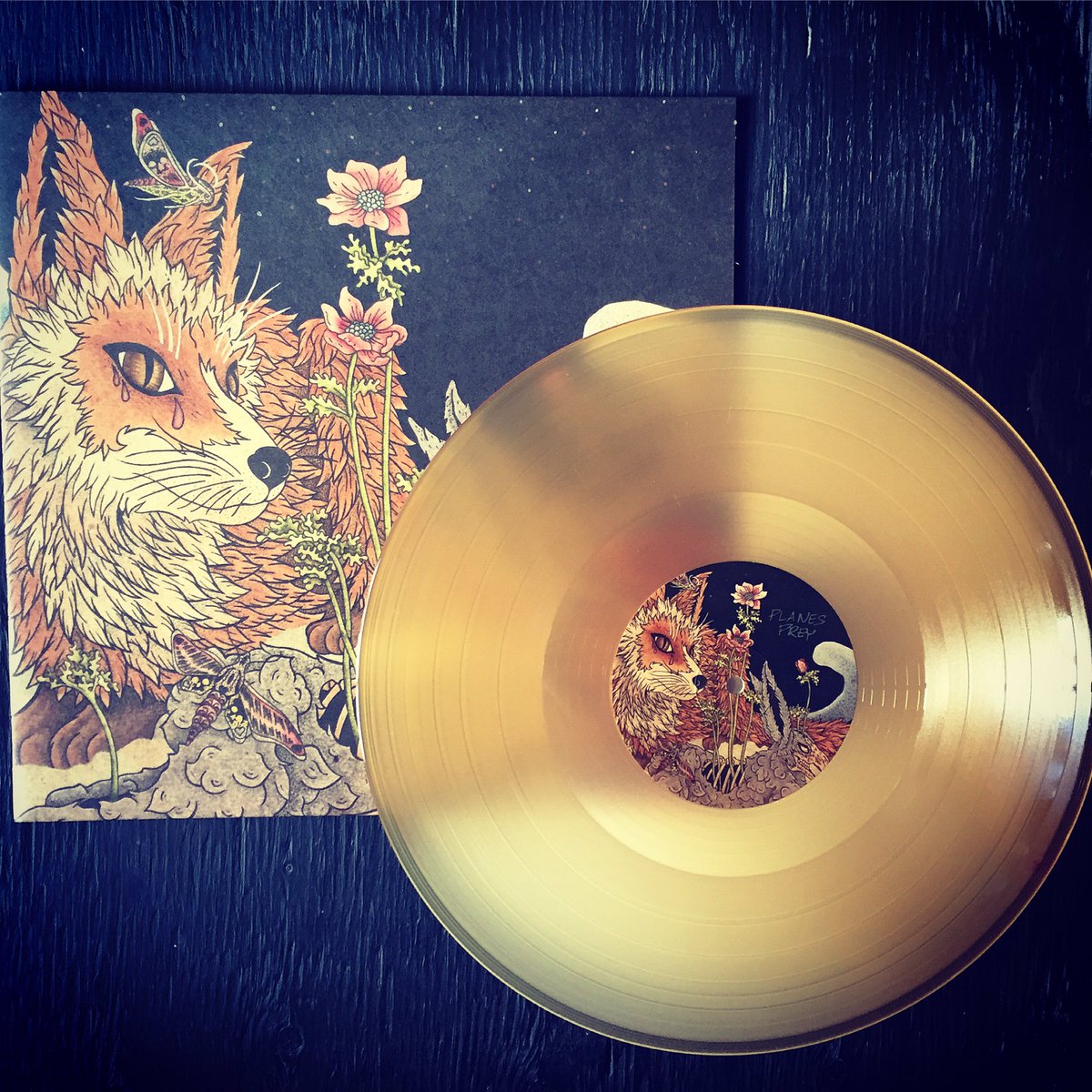 mindbombrecords's tweet image. Now In Stock: @planes666-Prey on Exclusive Beer Coloured Vinyl. 
#mindbombrecords #deathwishrecords #deathwishinc #planesmistakenforstars