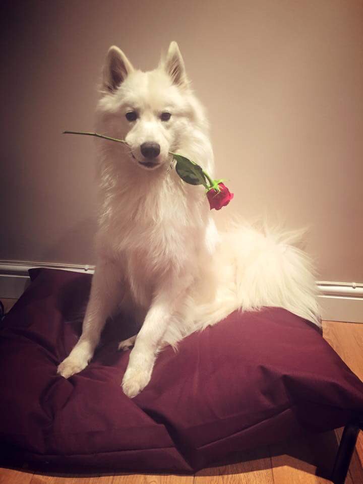 Sarah Robson tweet media