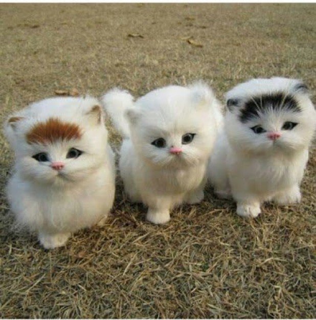 feelfully2's tweet image. We are all more similar than we are different buff.ly/2ewEDar