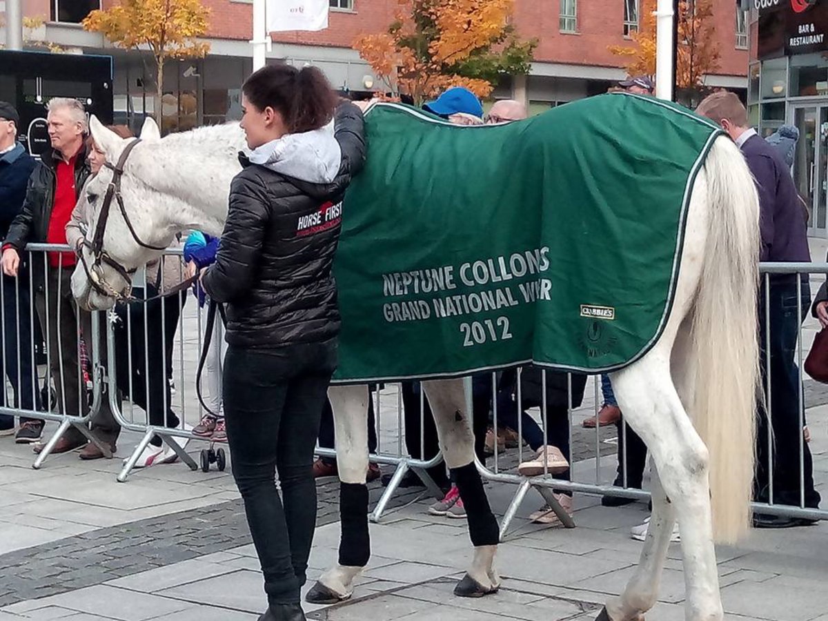 Karen55555's tweet photo. Horses outside the @EchoArena earlier today! #liverpoolride https://t.co/vmBRYEupWl