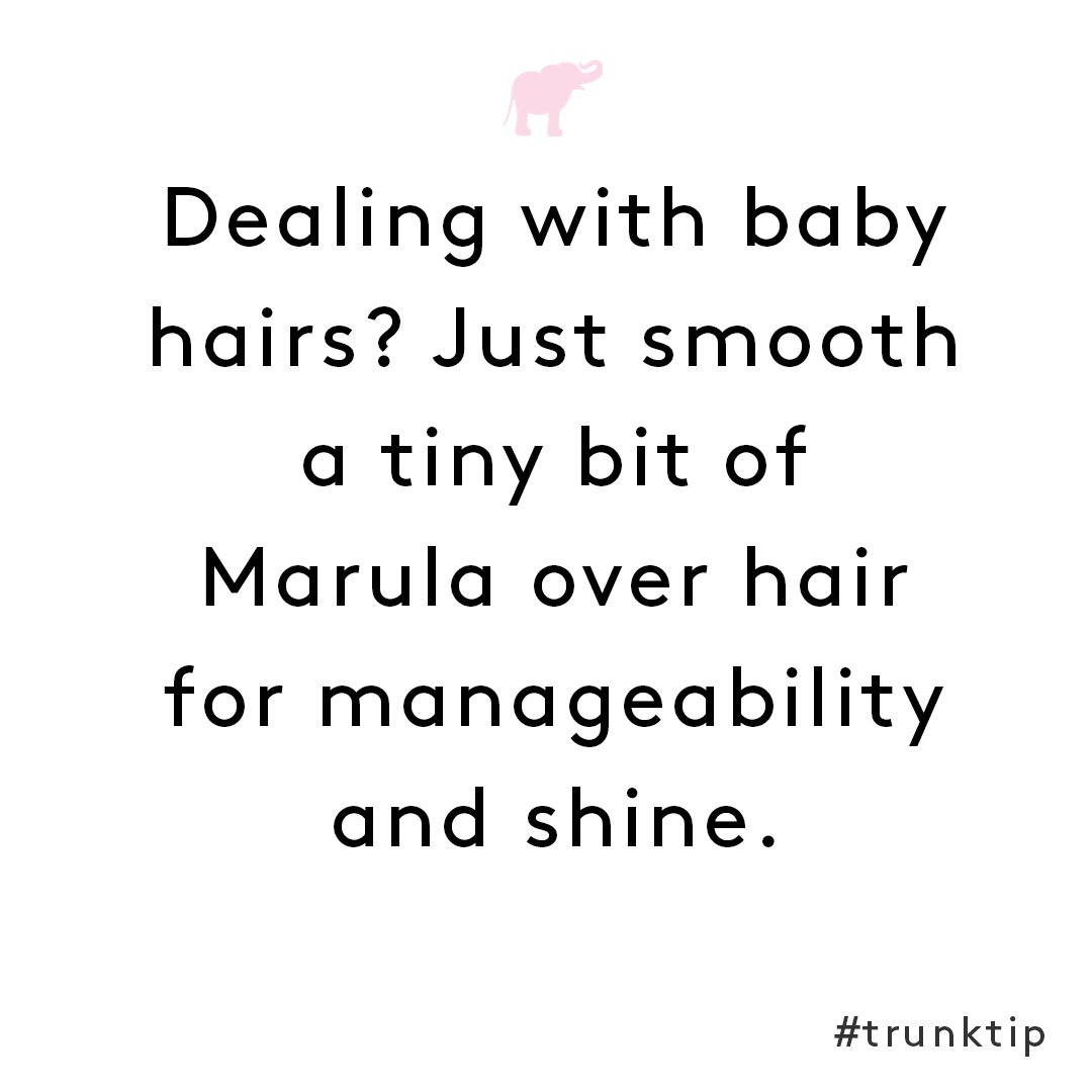 mydrunkelephant's tweet photo. Real smooth. #trunktip https://t.co/p4j0aWdPTr