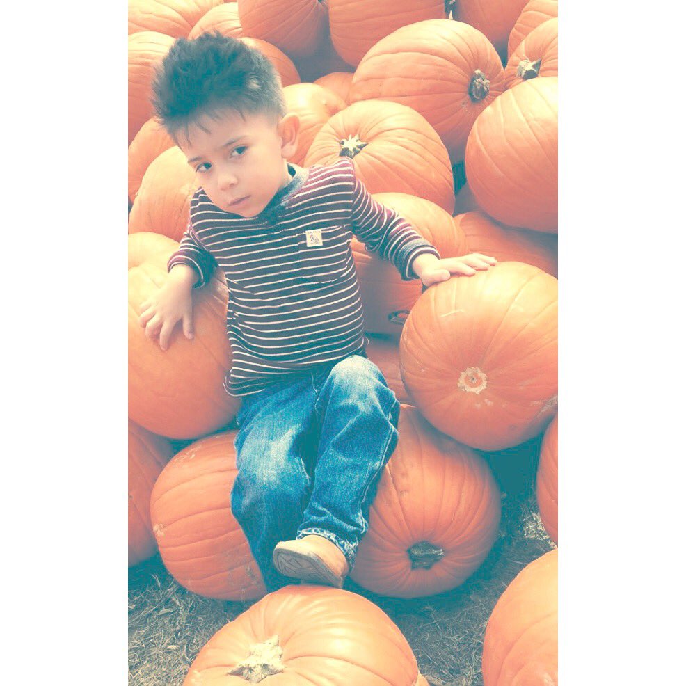 BitterSweetNexa's tweet photo. You got me in the palm of your hands. 🌞🌻🍂🌾 #pumpkinpatch2016 https://t.co/ofOKFWmTG6