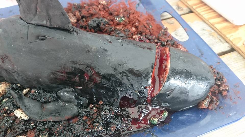 Beyond effed up. This cake won 2nd place in a #Faroese cake baking competition. #FaroeIslands #Grindstop #StopTheKilling