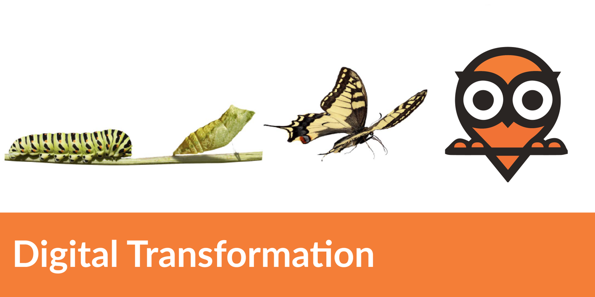 gepettotraining's tweet photo. At Gepetto we make Butterfies https://t.co/3XD8BQcktv