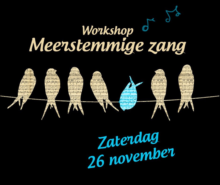 Talentenhuiskamer tweet media
