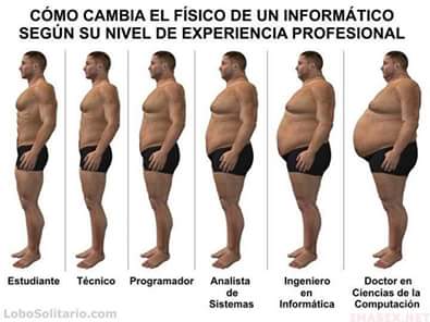 ProWeb Desarrollo tweet media