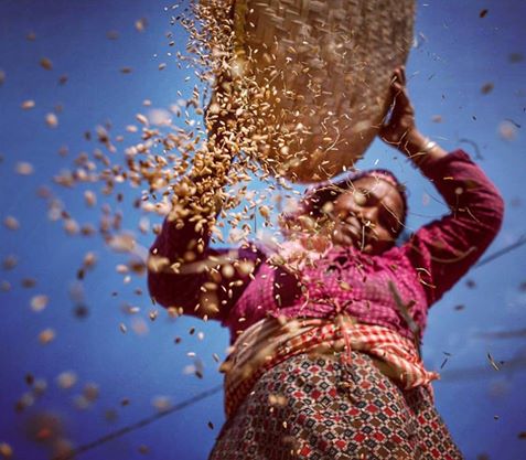 nepalhanwell's tweet photo. Amazing capture by Sulav Shrestha. Traditional Nepalese way of filtering rice grain. Absolutely in #love with this picture.

#Nepal #Rice https://t.co/KIMhtf911f