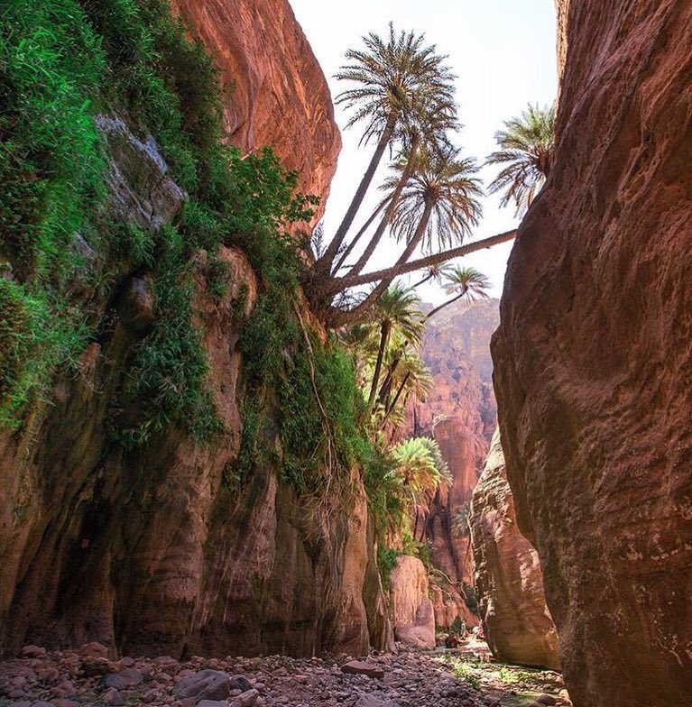 VisitJordan_NA's tweet photo. "Hiking through Wadi Ghuweir offers all kinds of stunning surprises around every corner. F… https://t.co/AYBoZBA79A https://t.co/Ywne63AfNb