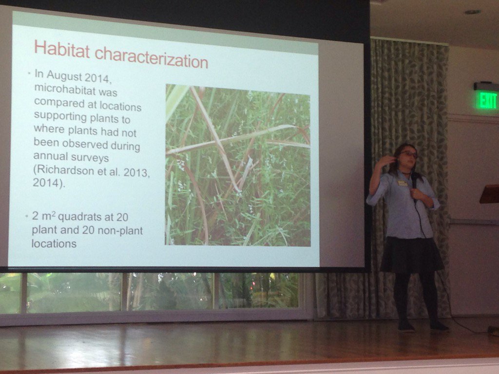 SuzySenna's tweet photo. Nora Oleas on Vicia ocalensis @FairchildGarden #FIU #ictb #itps #prwg https://t.co/wgUiFzHTlE