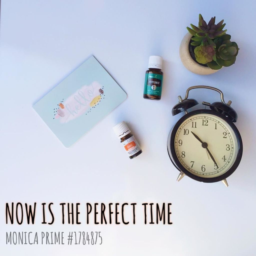 MamaOils's tweet photo. Wanna know a secret?!? Now through the end of October I'm giving ONE person TWO free oils when they enroll with a p… https://t.co/LAfL5Z4HGz