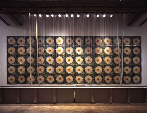 ilovewarhol's tweet photo. Andy Warhol's 1971, "Rain Machine". #daisywaterfalls #popart #installation https://t.co/wsK6mlw8oq