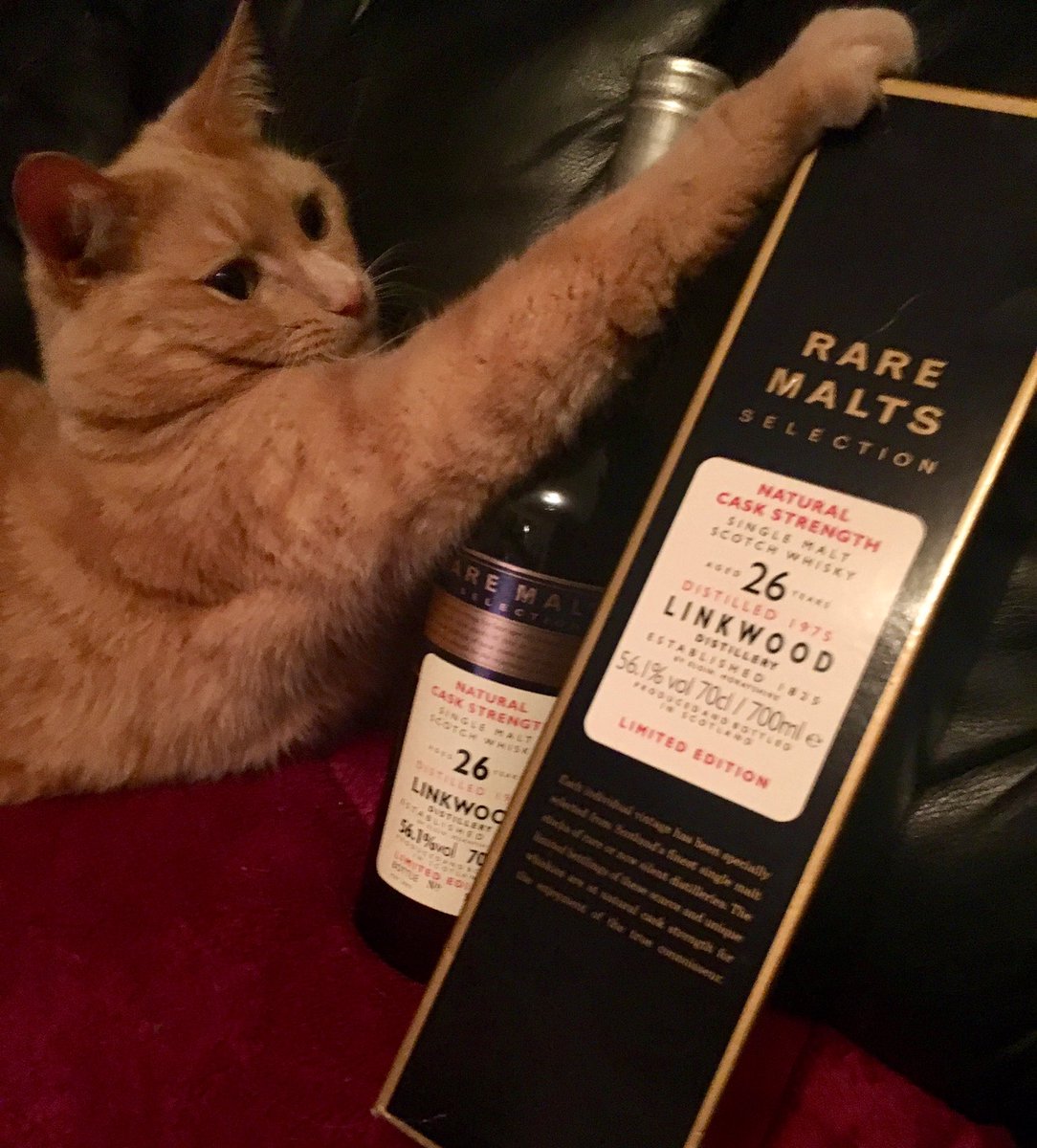 It's mine human. Stay away! Winners keepers. Slaves slave. / <a href="/Scotchwhiskycom/">Scotchwhiskycom</a>