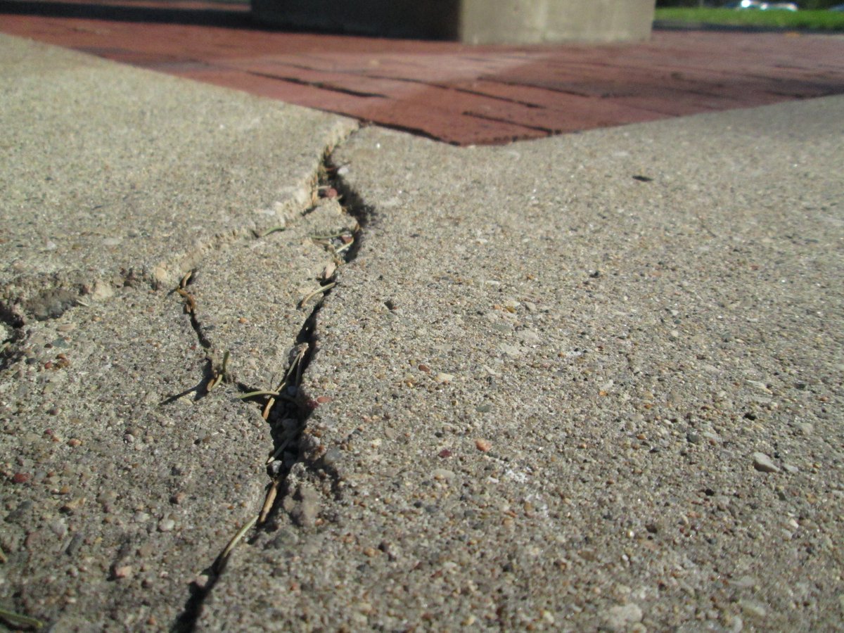 SnapsMacsBooks's tweet photo. Don't let the cracks in the pavement shake your solid foundation. Day 25 of #everydayphotoaday for #Octoberphotochallenge. @pv_only https://t.co/a6rzmUTAit