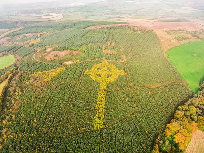 Посмотреть изображение в Твиттере