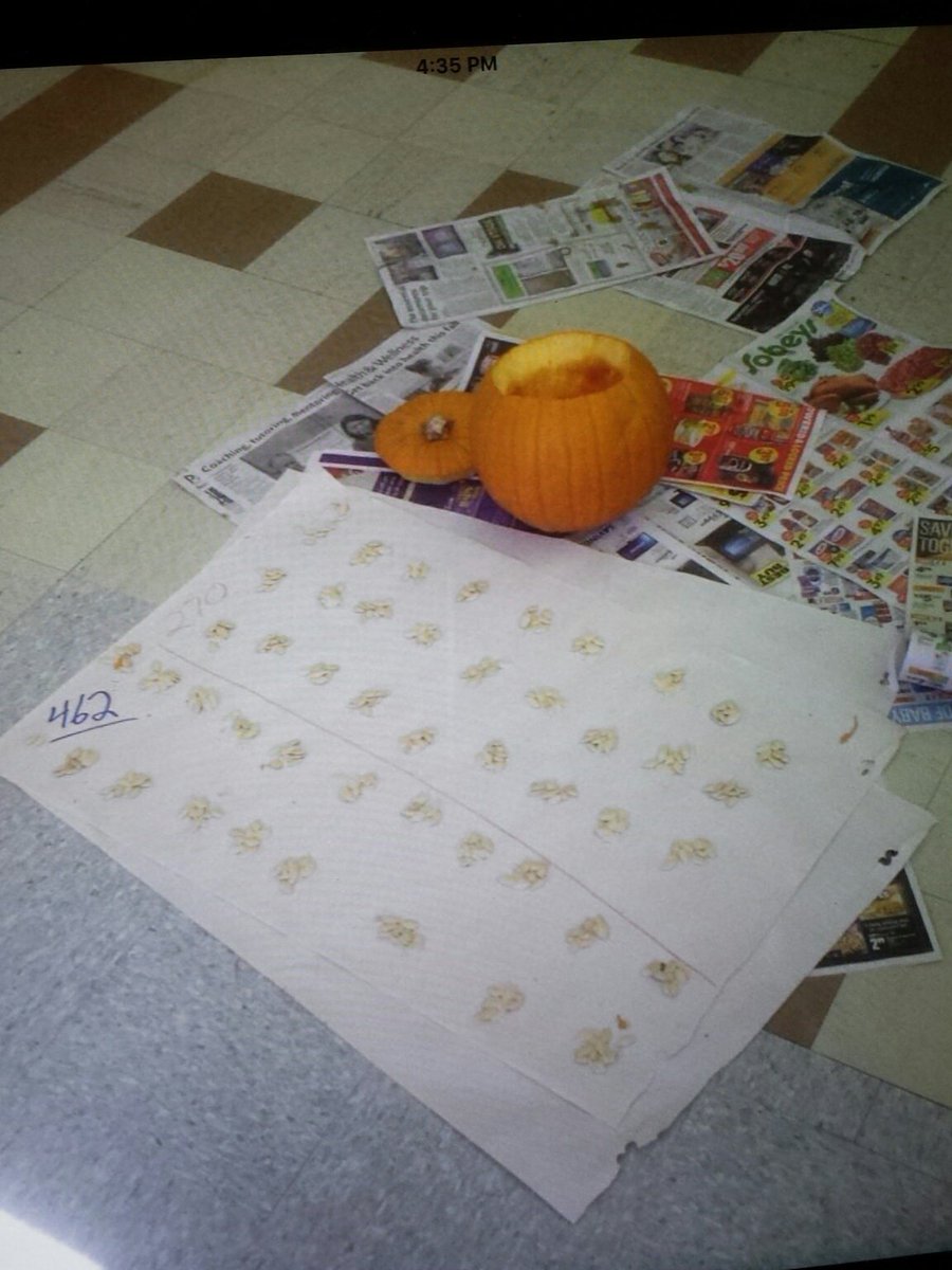 MrSlobodnick's tweet image. It turns out that Steve the Pumpkin had 462 seeds. # skip counting #grade3math #snws