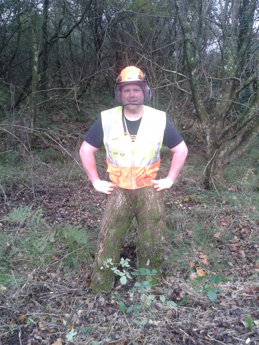 South Wales Tree Services tweet media
