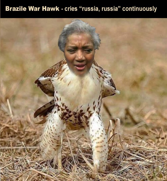 Fox crook Donna Brazile defends Obama on Russia spygate