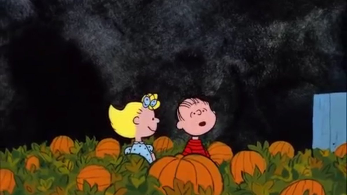 mumbdaddy's tweet photo. Linus is trying to #MakePumpkinsGreatAgain #trashtue https://t.co/wsVddjsYJn
