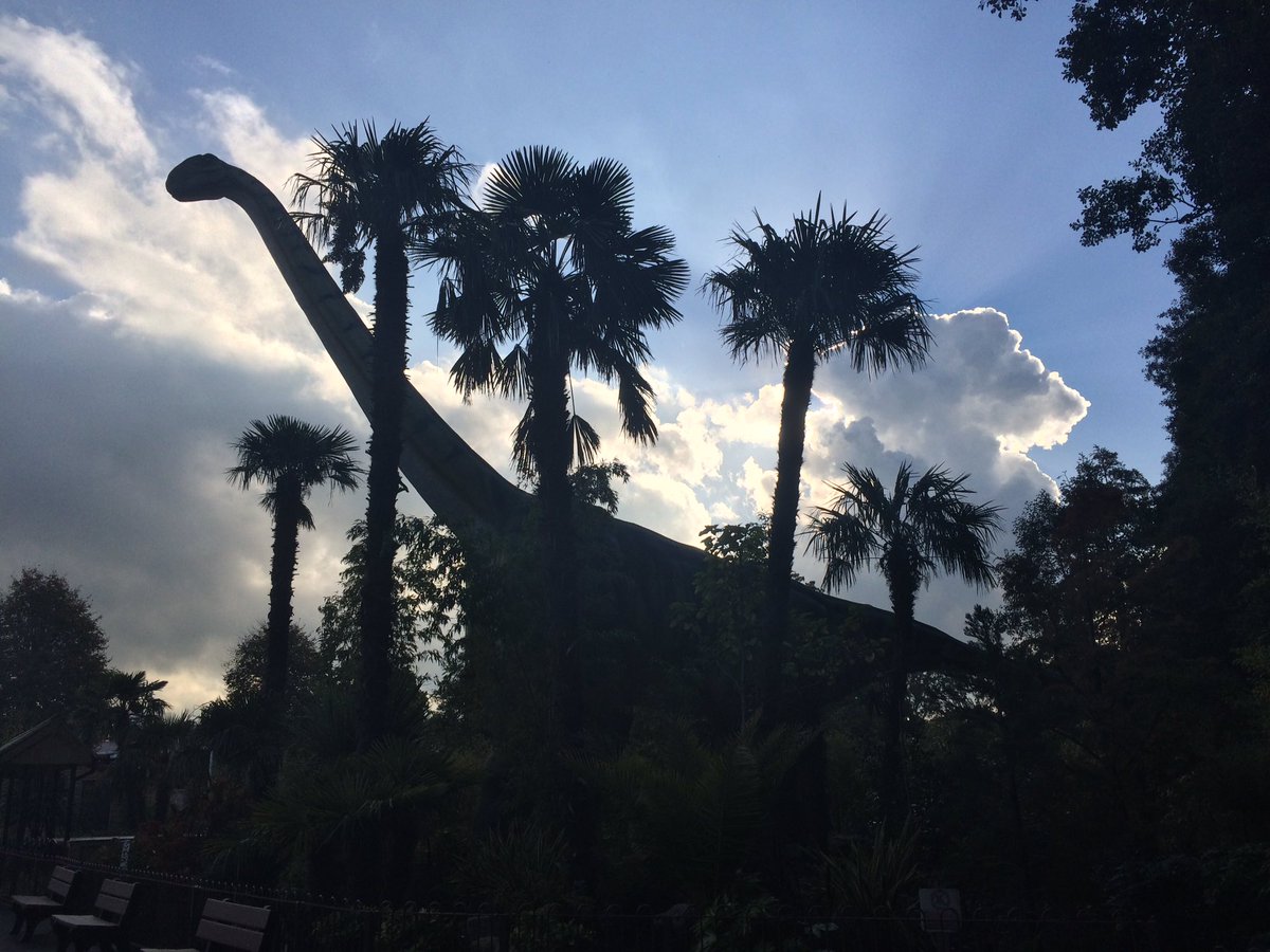 NatMurphy2012's tweet photo. Great family day out @paultonspark today, loved the new rides in #lostkingdom #NewForest #dinosaurs https://t.co/OYXlpfuu93