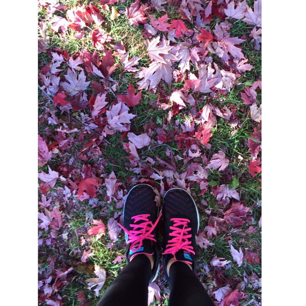 maricel71694726's tweet image. @supercelsantos 🍁 "Every leaf speaks bliss to me fluttering from the Autumn tree"! 🌲🍂 #FallTO..