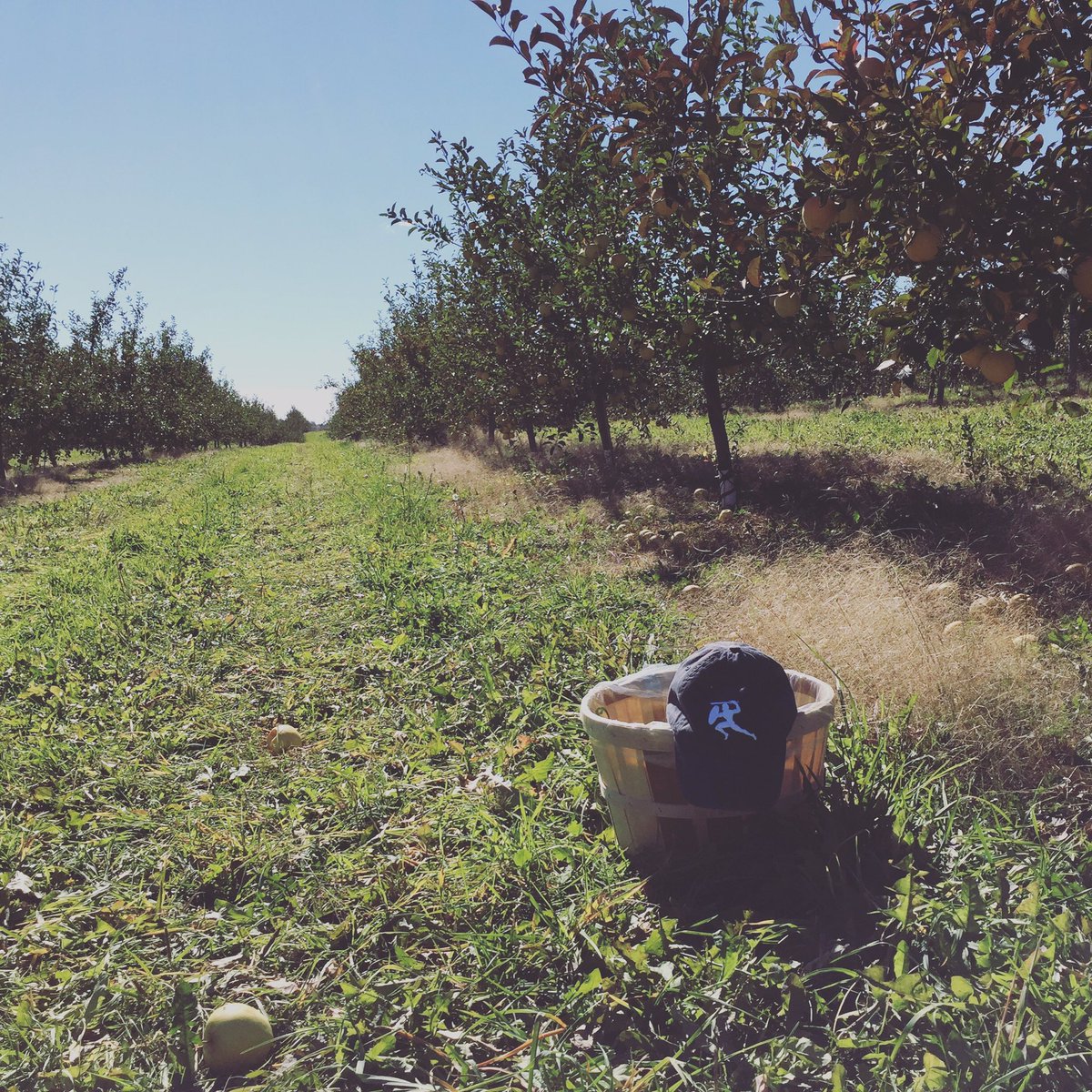 TheVWarrior's tweet photo. Fall's latest harvest . . . we mean fashion! #seasonallyappropriate #fall #fashion #style #mensclothing #mensfashion #travel #michigan https://t.co/o1E0hdkutF