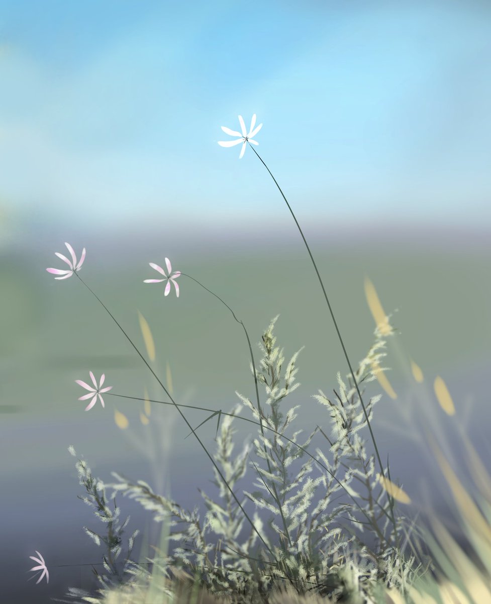 cottoncrop's tweet photo. #мазня https://t.co/Vmqb4KPT66