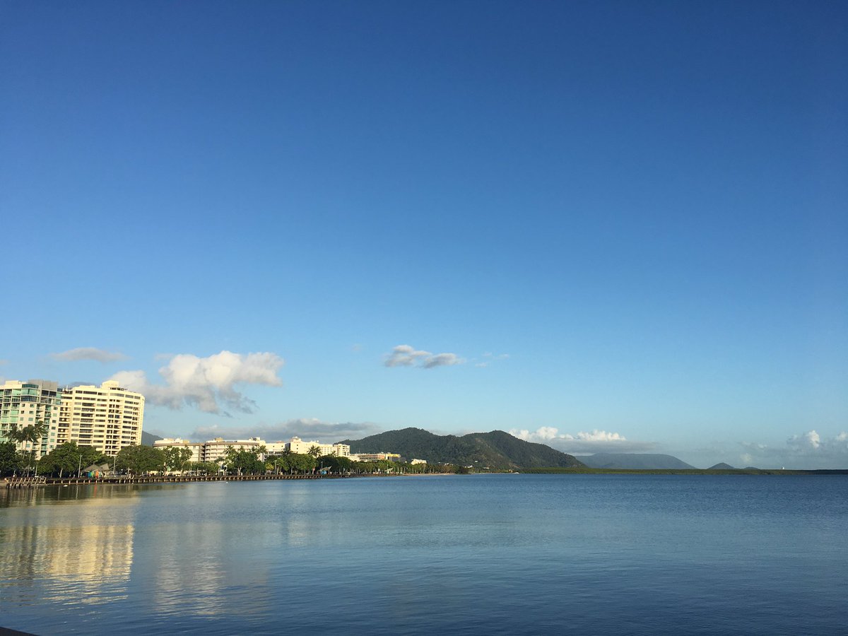 Nicole Borcovsky tweet media