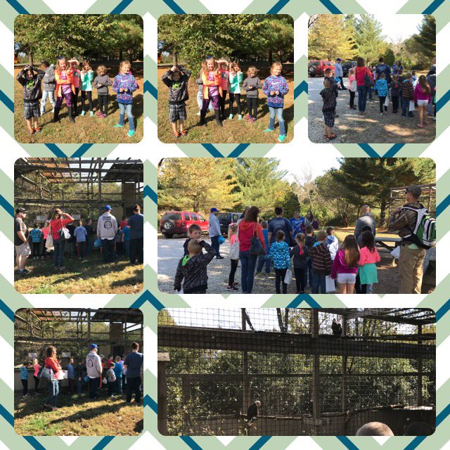 13ahirsch's tweet photo. We had a great field trip to the Treehouse Wildlife Center! https://t.co/poXucQ6lUI