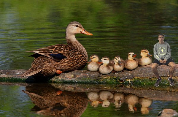 Reed Brown tweet media