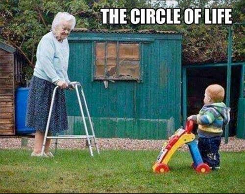 AssistedLivingD's tweet image. The Circle of Life #aginghumor