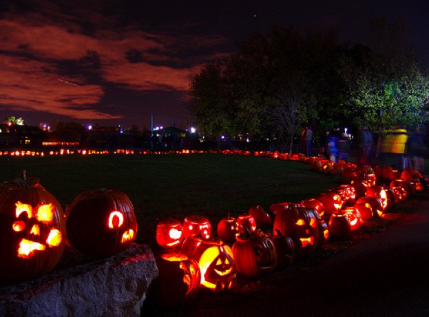 TorontoJunction's tweet image. The Junction’s annual #Pumpkinwalk is a week away! Mark your calendars and show off your pumpkins one last time, starting at 6pm @JunctionP