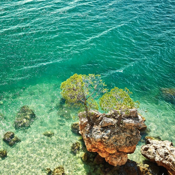 Brela Beach � cristalic clean sea water with pines in #Croatia: bit.ly/2cmG9Lk #travel #trip