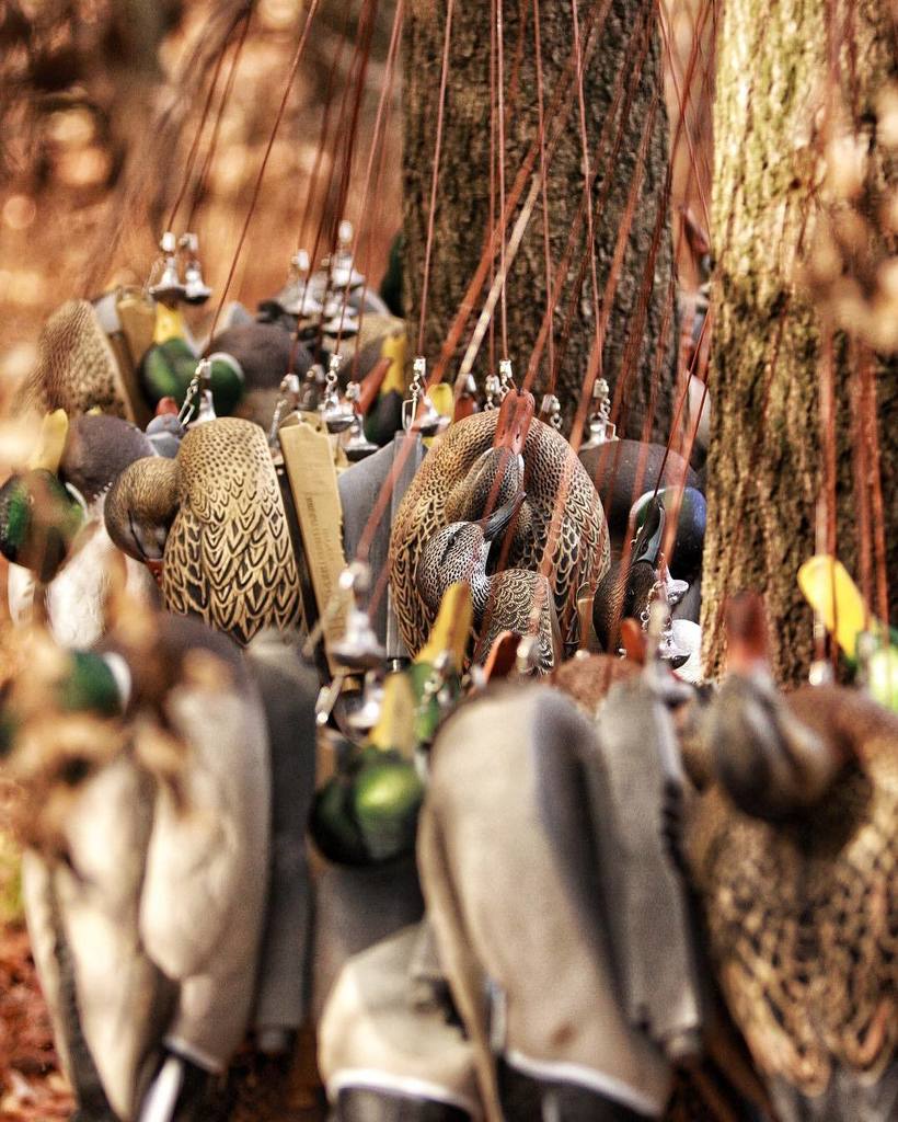 TonyVandemore's tweet photo. Soldiers, report for DUTY!!!!! #3Days #HFArsenal 
#Blinds #DuckBlind #TimberHoles #Duck16 … https://t.co/OBqdDqSLTg https://t.co/rj5ERBsMnP