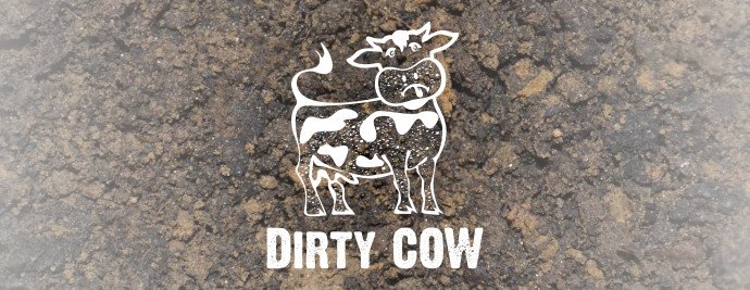 eboundhost's tweet photo. Vulnerability Announcement: Dirty COW (CVE-2016-5195) https://t.co/35XuppPWsF https://t.co/SRvJwELCHz