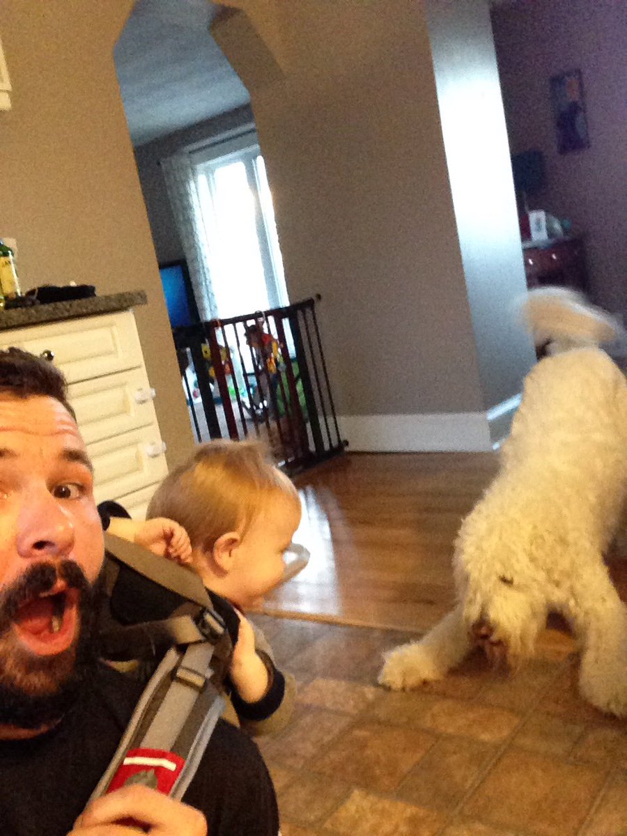 Thorn__Scott's tweet photo. Wife is gone. Boys night, ooooh oooh.  Wildlings loose. 

#adulting #parenting #dogvsbaby https://t.co/iTogmBlkEn