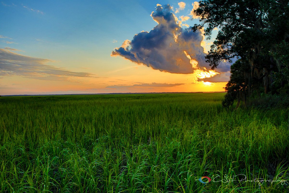 Visit Beaufort, SC tweet media