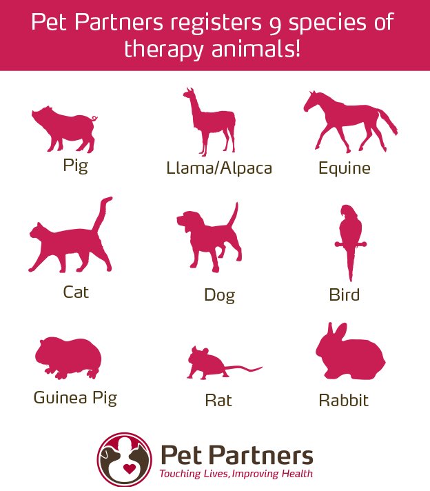 pet-partners-pet-partners-twitter