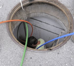 J. Guevara tweet media